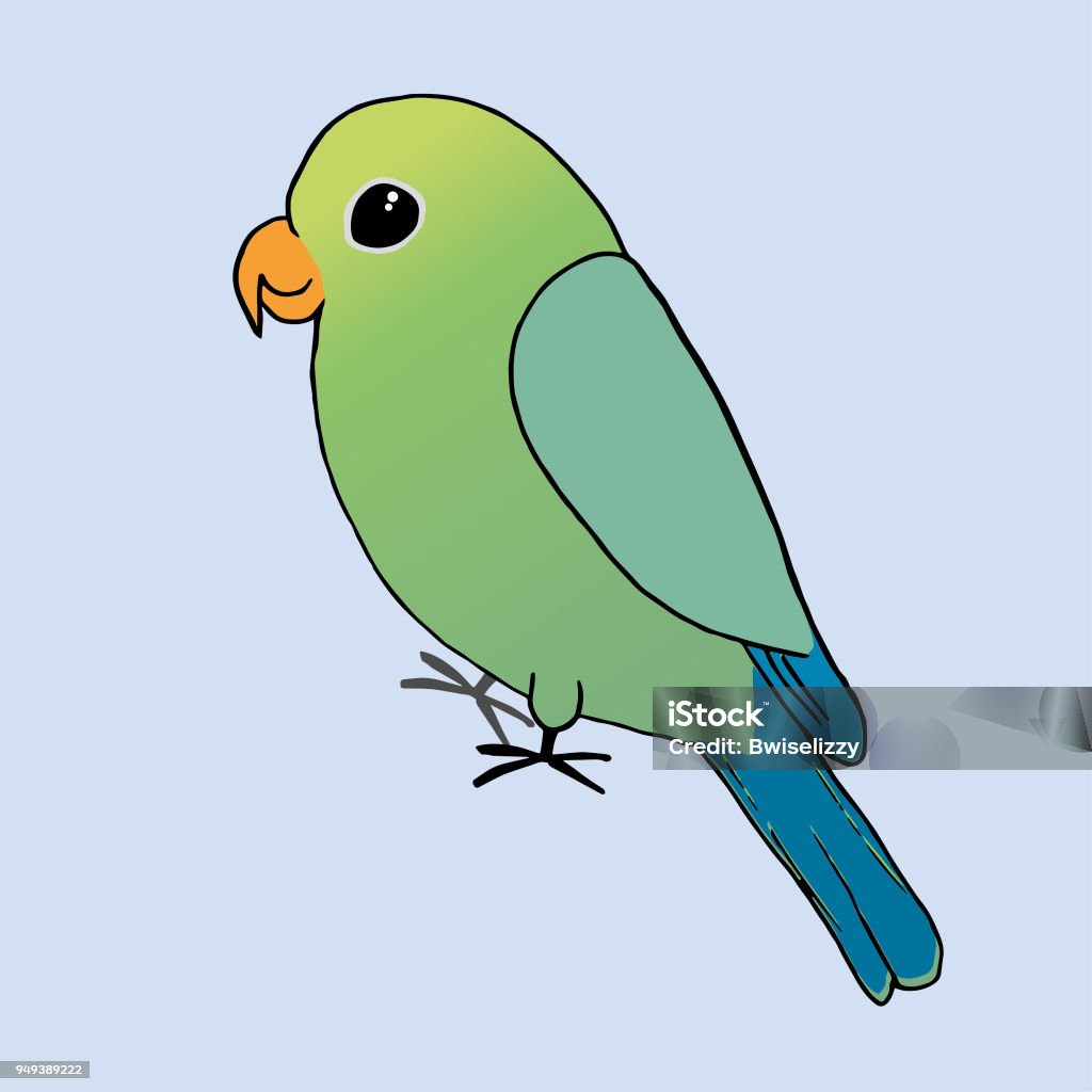 A Drawing Of A Green Parrot Stock Illustration - Download Image ...