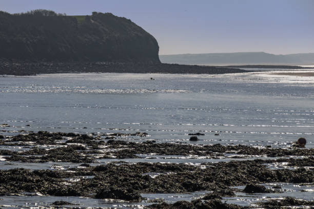 istock severn estuary somerset bristol channel england uk 949389744