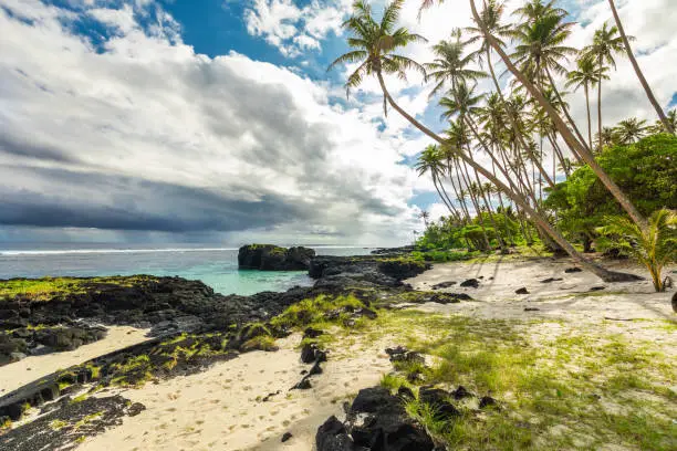 Tropical beach and ocean on Samoa Island with palm trees during late afternoon