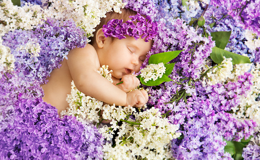 Baby Girl Sleep in Lilac Flowers, Newborn Child Sleeping on Purple Flower Background, Three Months Old Infant Kid Beauty Portrait