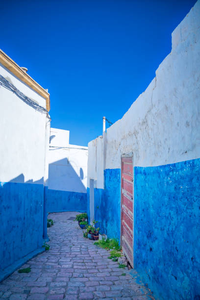 The narrow streets and the white and blue painted buildings of the Kasbah of the Udayas in Rabat, Morocco