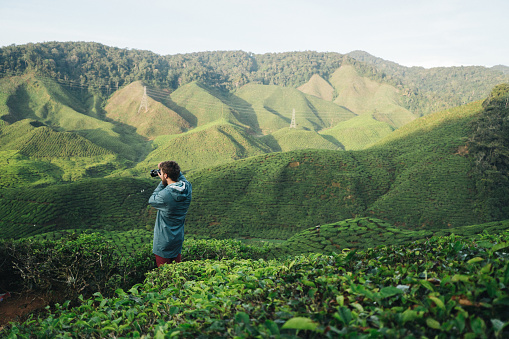 Young Caucasian man taking photo of  scenic view of  tea plantations