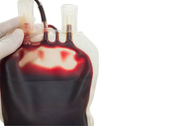 закройте красный мешок крови в лаборатории на белом фоне. - blood bank стоковые фото и изображения