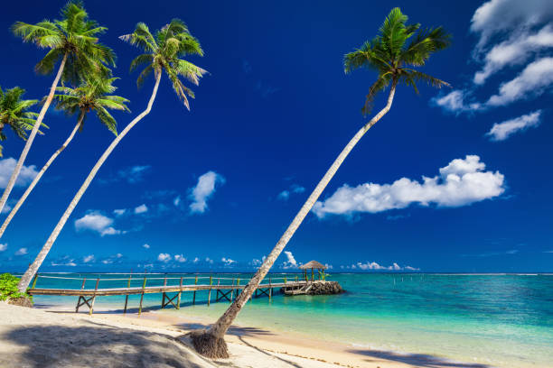istock Tropical beach scene with coconut palm trees and jetty, South Pacific, Samoa 949400540