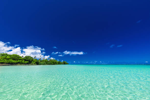 istock Vibrant tropical beach on north side of Upolu, Samoa Islands 949400766