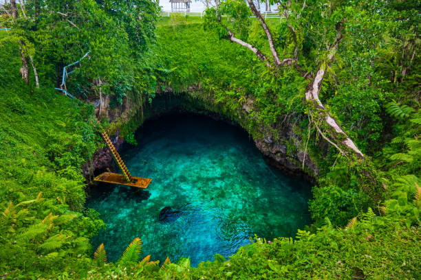 do rowu oceanicznego sua - słynna dziura pływacka, upolu, samoa, południowy pacyfik - people in a row zdjęcia i obrazy z banku zdjęć