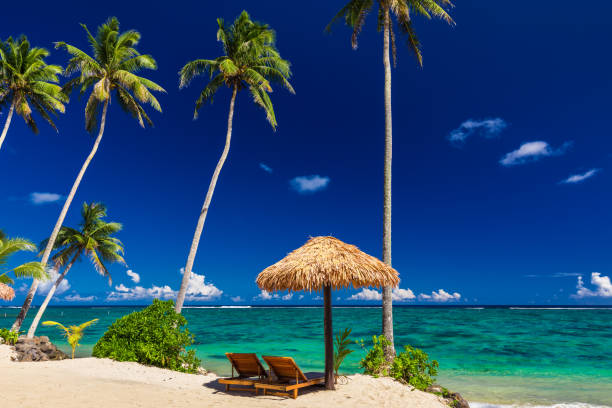 istock Two beach chair under umbrella with palm trees, Samoa 949403106