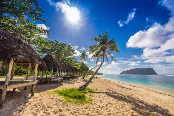 istock Tropical beach with a coconut palm trees and a beach fales, Samoa 949403204