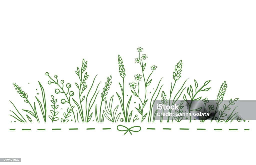 pattern with wild flowers natural pattern with wild flowers, herbs and flowers on white background Flower stock vector