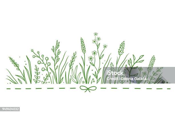 Pattern With Wild Flowers Stock Illustration - Download Image Now - Flower, Meadow, Grass