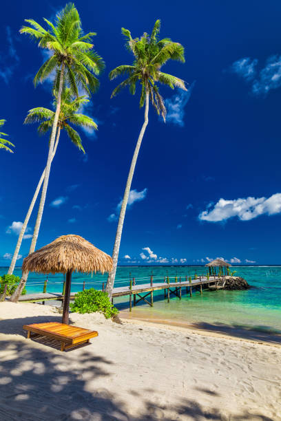 Tropical beach scene with coconut palm trees and jetty, South Pacific