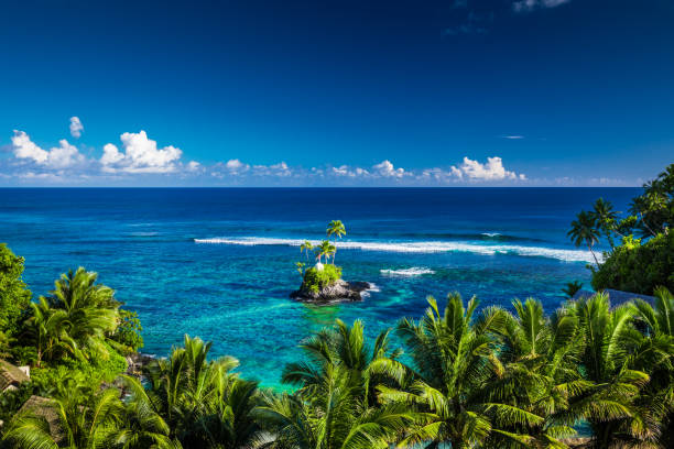istock Tropical beach on Samoa Island with palm trees on small island, Upolu 949404716