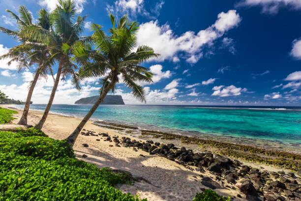istock Tropical Lalomanu beach on Samoa Island with coconut palm trees 949405596