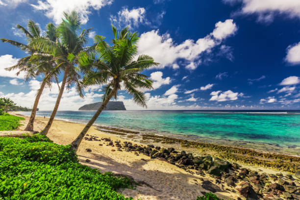 istock Lalomanu beach on Samoa Island with tree palm trees, Upolu, South Pacific 949405898