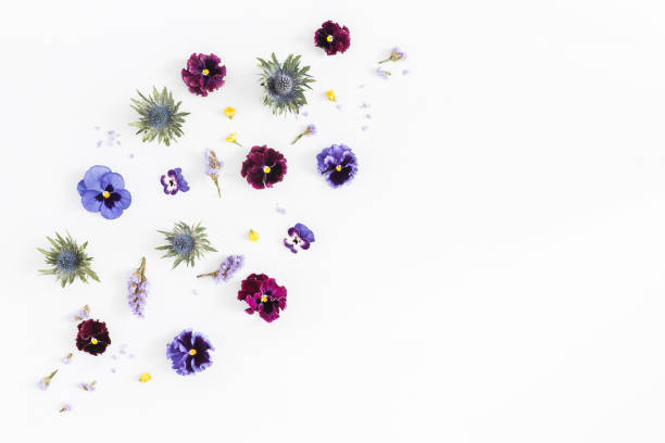 istock Colorful flowers on gray background. Flat lay, top view 949409558