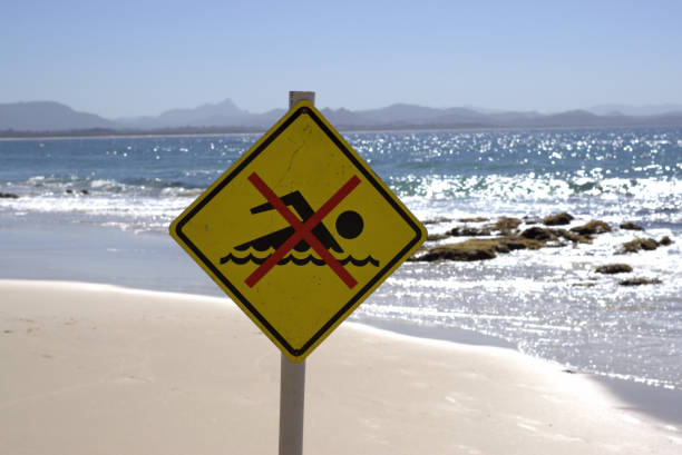 istock No Swimming sign post at beach 949412534