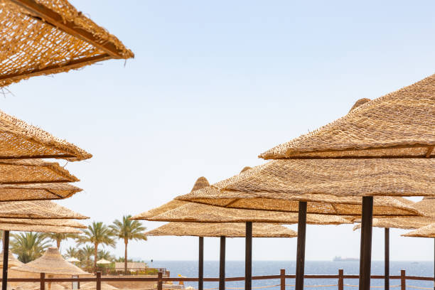 istock Umbrellas on the beach at Sharm El Sheikh beach 949412568