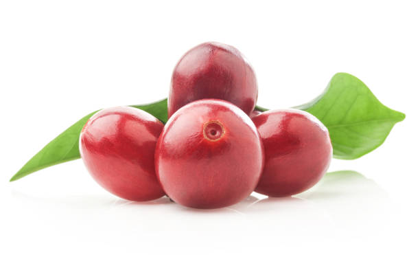 istock Red coffee beans isolated on white background 949412810