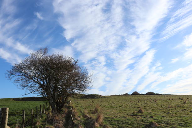 istock Trees against fluffy white clouds and blue sky in rural setting 949418154