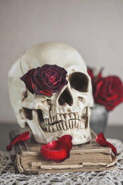 istock Still life with dry red roses and skull on vintage book 949418596