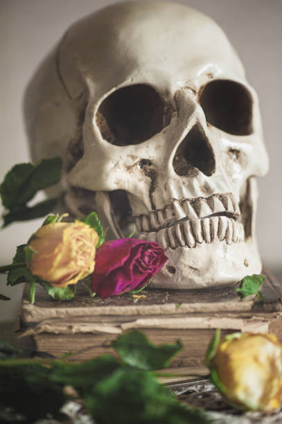 istock Still life with dry roses and skull on vintage book 949420720
