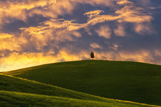 istock Landscape in Tuscany at sunset 949426808