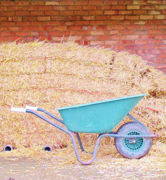 Cart with rick straw on barn