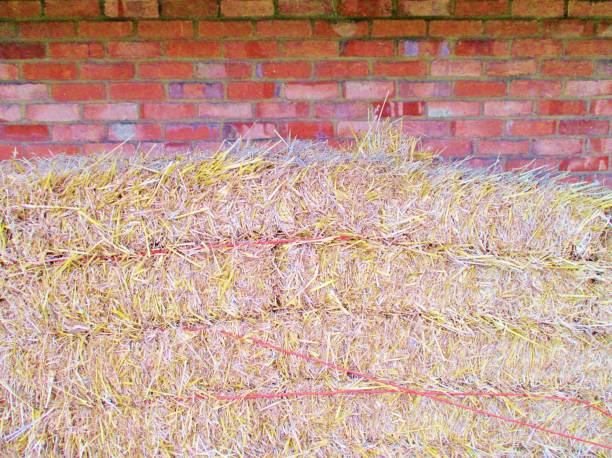 red Brick wall with hay straw bales and copy space