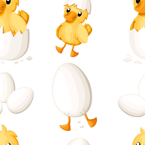 240+ Duck Hatching Stock Illustrations, Royalty-Free Vector Graphics