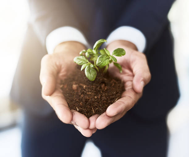 istock Be patient as growth comes slowly 949436796