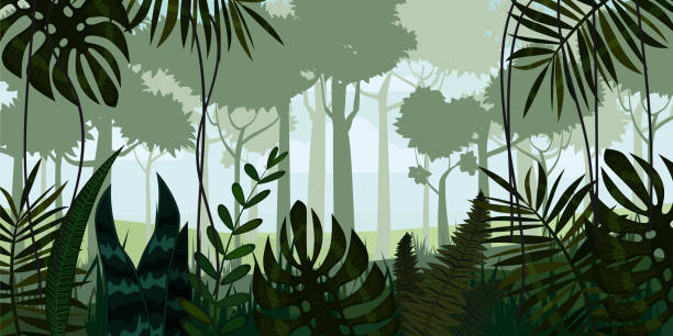 ilustraciones, imágenes clip art, dibujos animados e iconos de stock de vector fondo de paisaje de selva de bosque tropical con hojas, helechos, aislado, ilustraciones - animal background