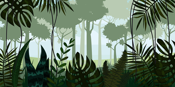 Vector tropical rainforest Jungle landscape background with leaves, fern, isolated