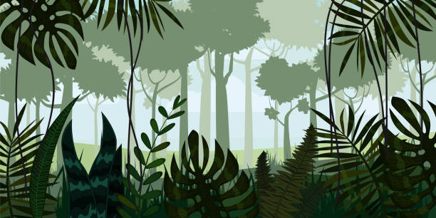 Vector tropical rainforest Jungle landscape background with leaves, fern, isolated, illustrations Vector tropical rainforest Jungle landscape background with leaves, fern, isolated mountain lion tree stock illustrations