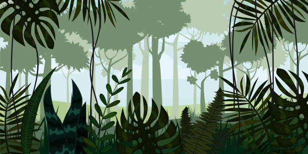 Vector tropical rainforest Jungle landscape background with leaves, fern, isolated, illustrations Vector tropical rainforest Jungle landscape background with leaves, fern, isolated trogon stock illustrations