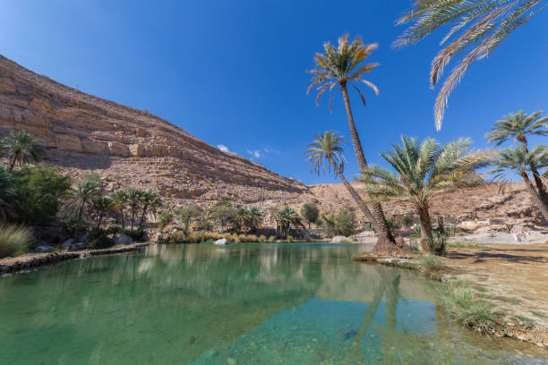istock Emerald pools in Wadi Bani Khalid, Oman 949443974