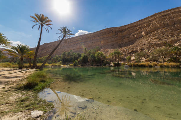 изумрудные бассейны в вади бани халид, оман - wadi bani khalid стоковые фото и изображения