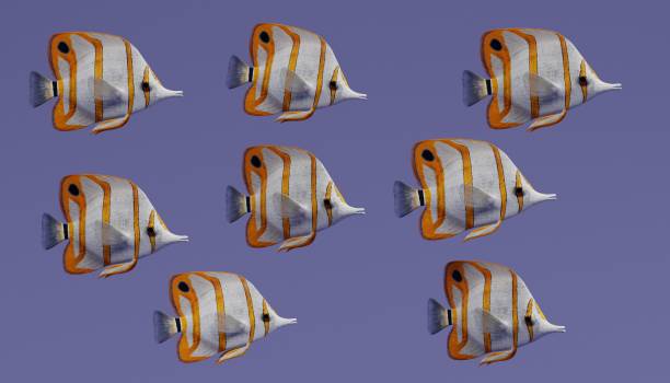 istock Realistic 3d Render of Copperband Butterflyfish 949446926