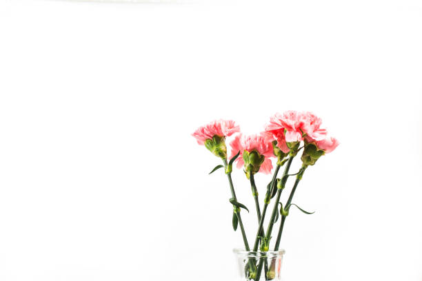 istock Carnations, happy mother's day, greeting cards 949450532