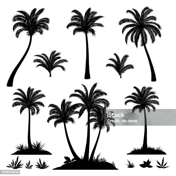 Palm Trees And Plants Silhouettes Stock Illustration - Download Image Now - Palm Tree, In Silhouette, Vector