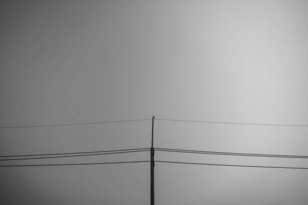 black and white of a bird on top of electricity post with clear sky background