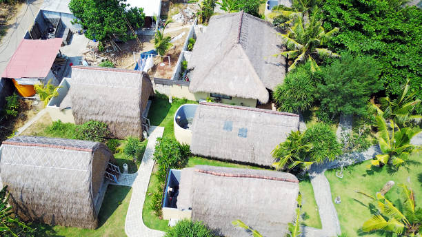 istock wooden bungalows with thatched roofs 949458132