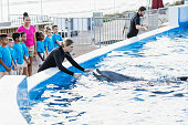 kinder-auf-entdeckungsreise-delphin-trainer-im-marine-park.jpg?b=1&s=170x170&k=20&c=S9vdL9XJ-j5i7NAoGu9IfmfFSeePbgyzI0oNOeR3KkQ=