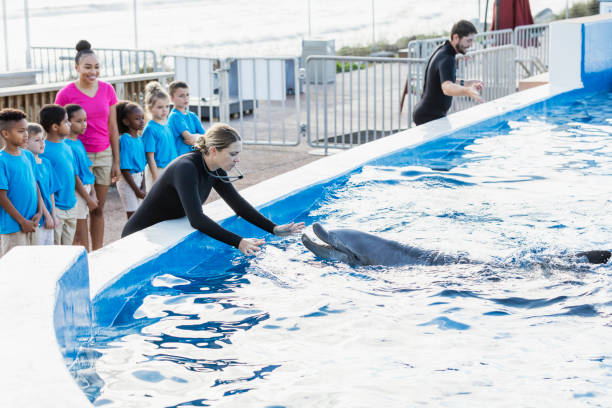 istock Children on field trip, dolphin, trainers at marine park 949471604