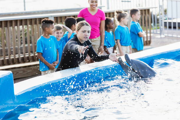 istock Children on field trip, dolphin, trainer at marine park 949471660
