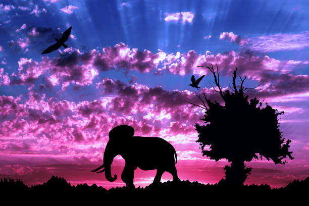 istock Jungle with old tree, birds and elephant on purple cloudy sunset background 949472284