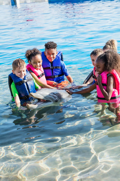 istock Multi-ethnic children standing in water petting dolphin 949472444
