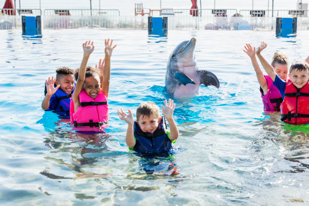 istock Multi-ethnic children playing in water with dolphin 949472502