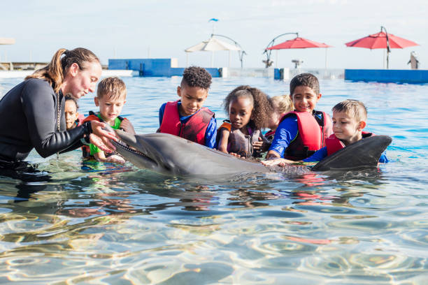 istock Children and trainer in water petting dolphin 949472650