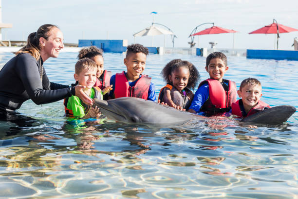 istock Children and trainer in water petting dolphin 949472770
