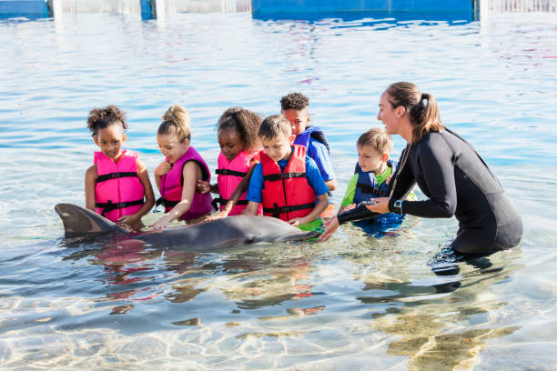 istock Children in water petting dolphin 949472786